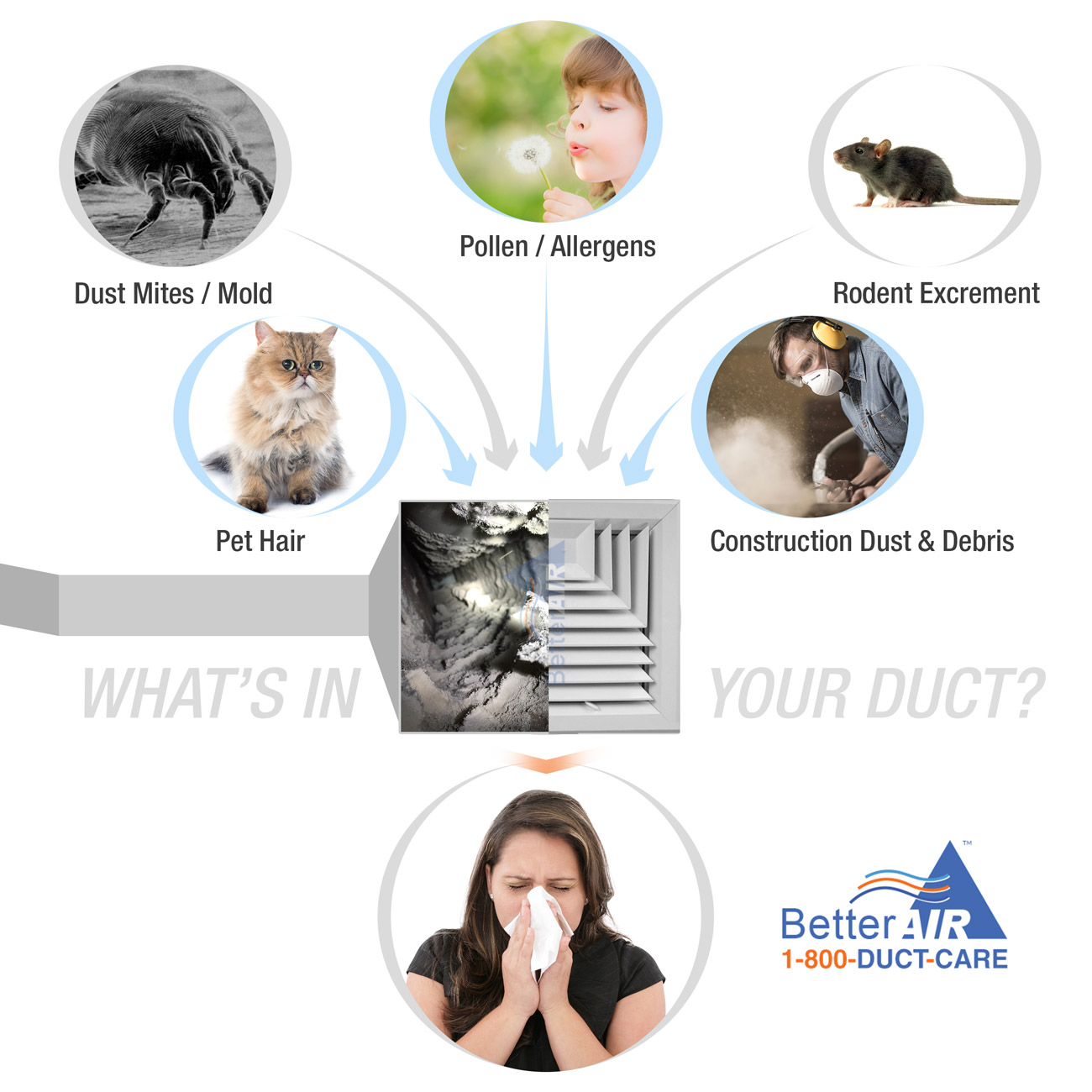 What's In  your Air Duct and Vent? - Better Air - Diagram 