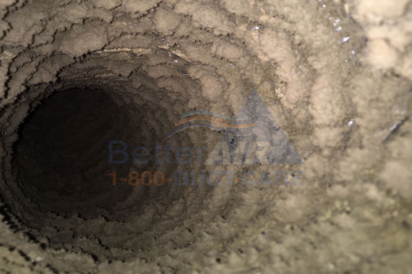 Better Air - Customer's Dirty Flex Air Duct  - Before Cleaning