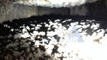 BEFORE - HVAC Air Duct Cleaning